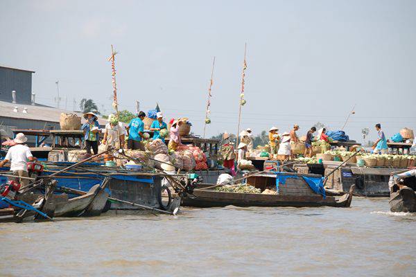 A Rare River Odyssey